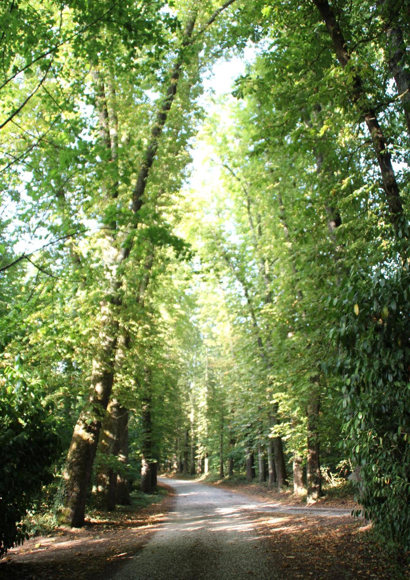 Gite Le Haut Perche, 4 Personnes Saint-Gervais-la-Forêt 외부 사진
